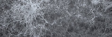 gutceBE's profile banner image