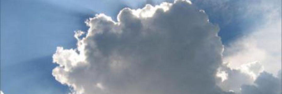 micaelapozzi's profile banner image