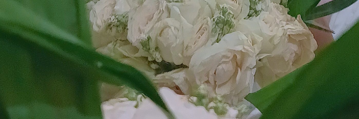 bubbloveian's profile banner image
