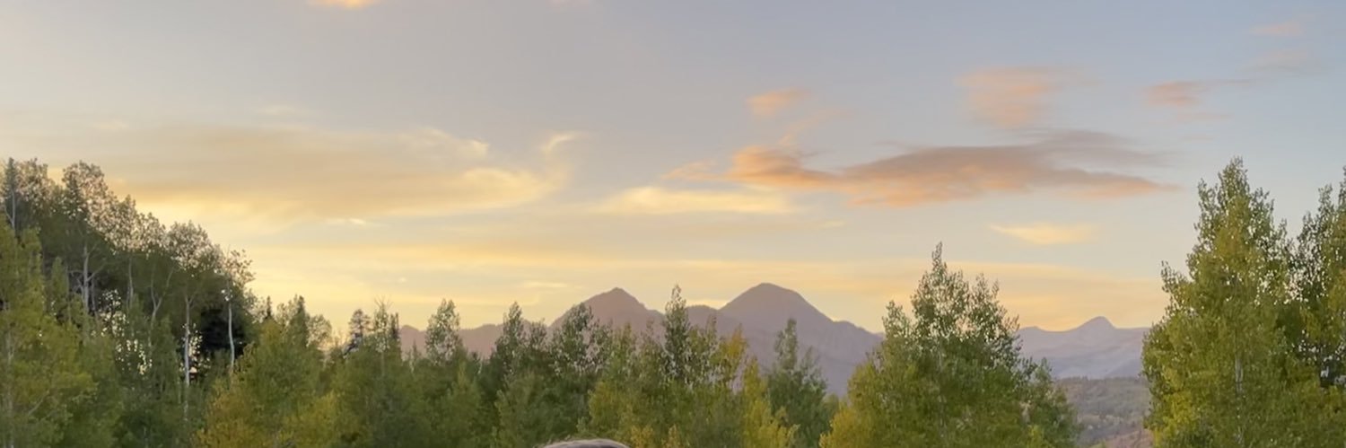 MerdsPerge's profile banner image