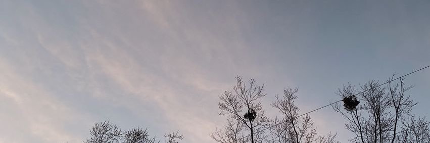 AllieJo_'s profile banner image