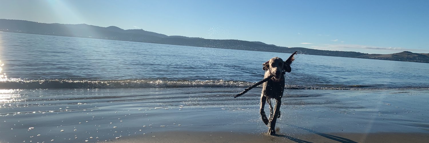 the discourses of cecil banner