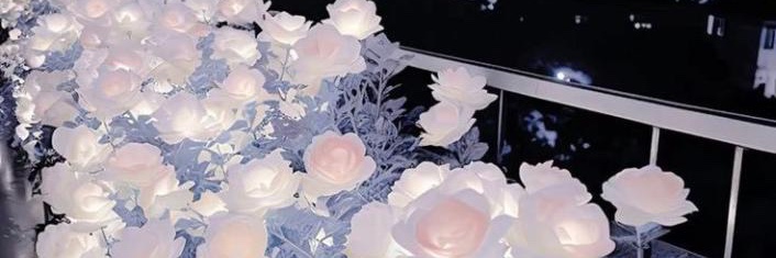 DECI banner