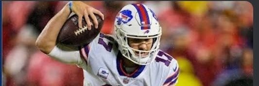 Bosox & Bills Enjoyer banner