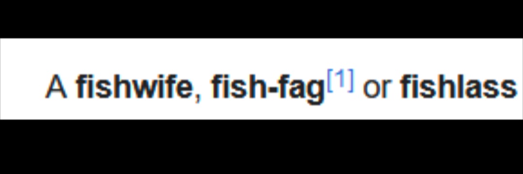 infinite jest fan 53's banner