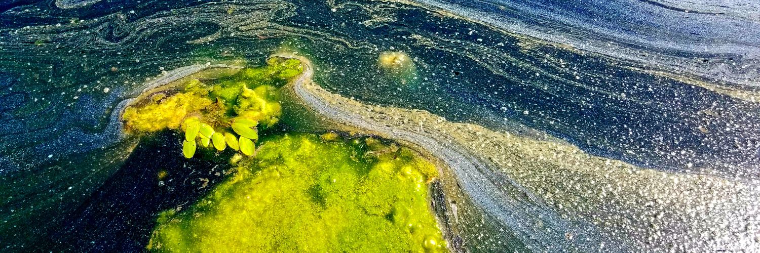 landscape_ho's profile banner image