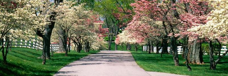 الفاتنة banner