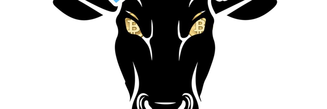 CryptObrOShO banner
