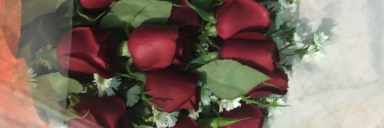O5Laura's profile banner image