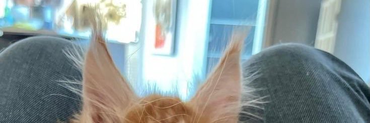 luvrboiiz's profile banner image
