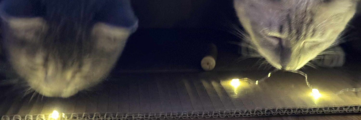 chipsdelight ♍ banner