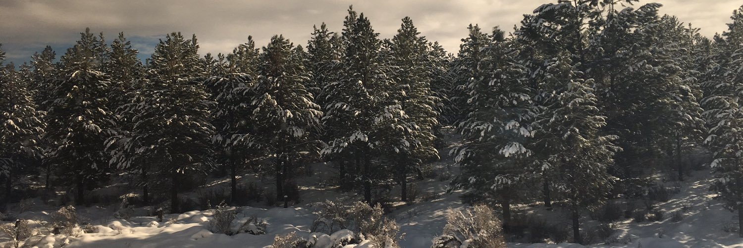 Moretacos8's profile banner image