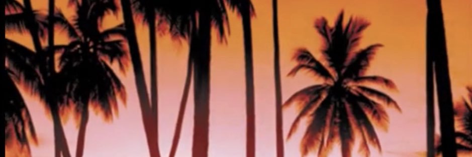 Tommy Vercetti banner