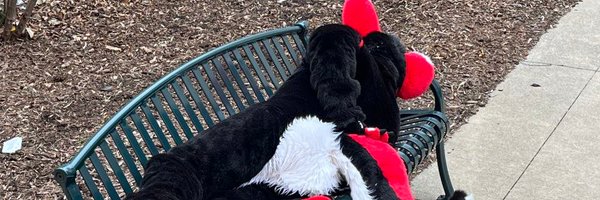 Arco_Wolf Profile Banner