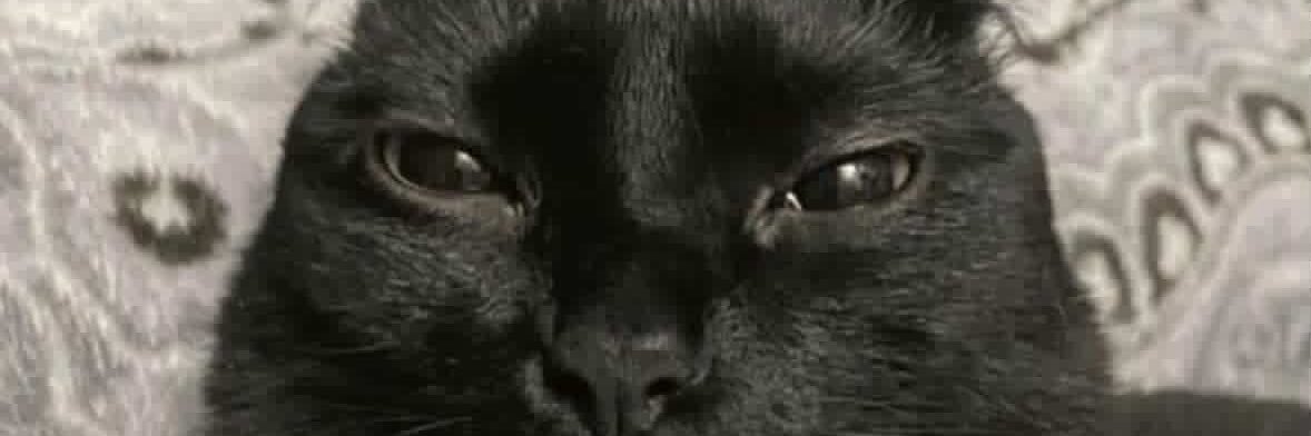 smnthaac's profile banner image