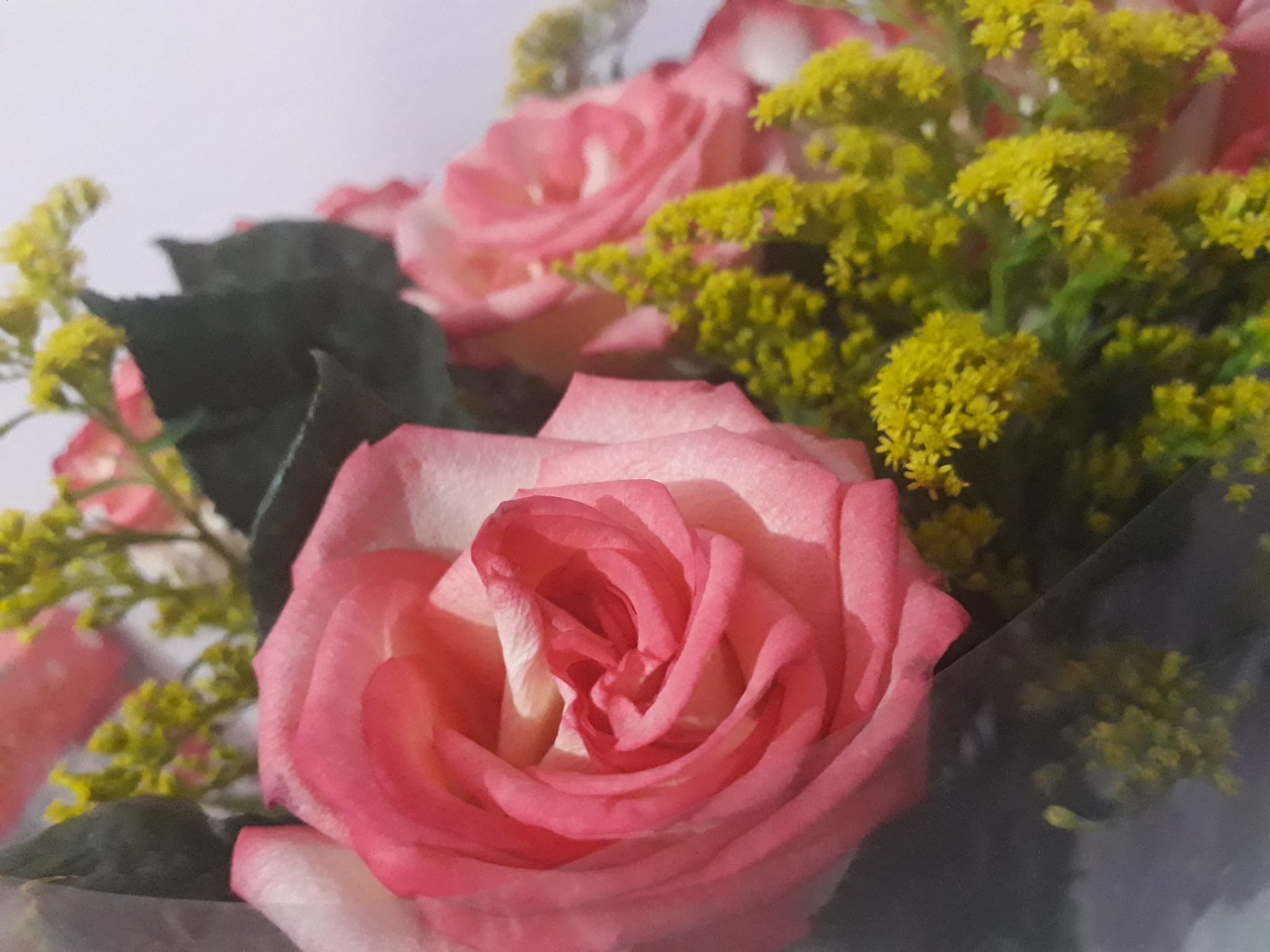 ElsaMartinez22's profile banner image