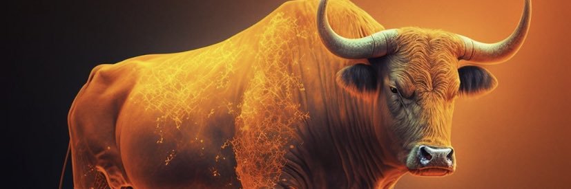 ConiCoach_'s profile banner image