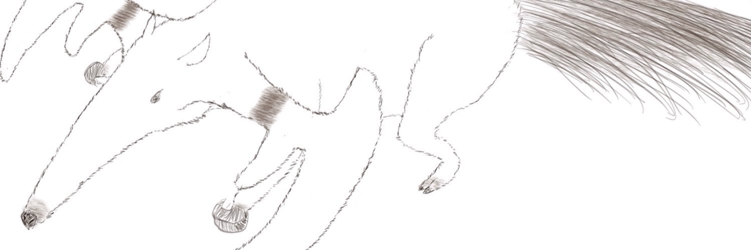 ttguyslpon's profile banner image