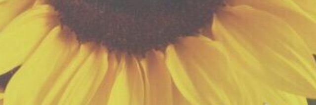 Emma_SLSelf's profile banner image