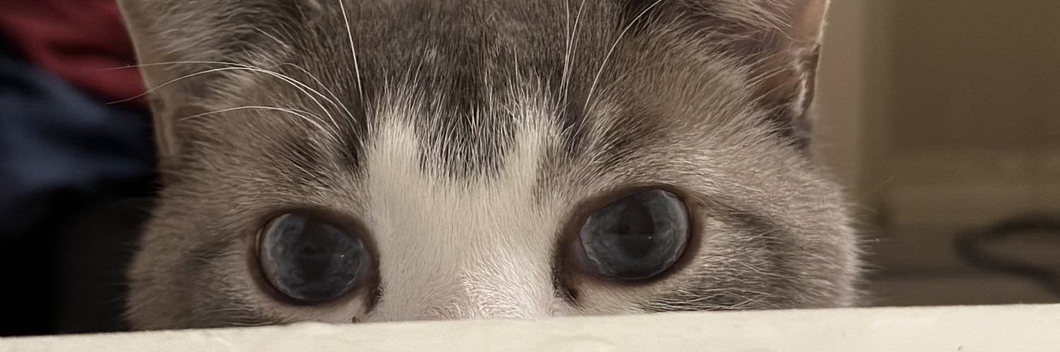 TylerFin's profile banner image