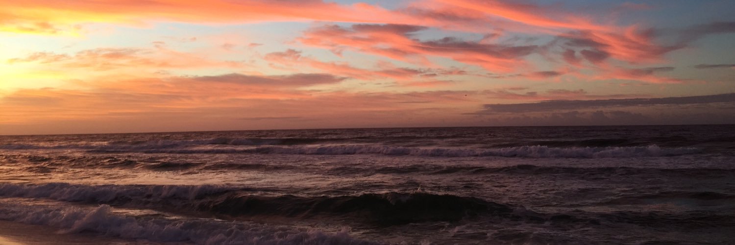 EmilyLNoe's profile banner image