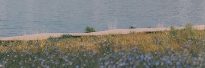 Nm48723634's profile banner image