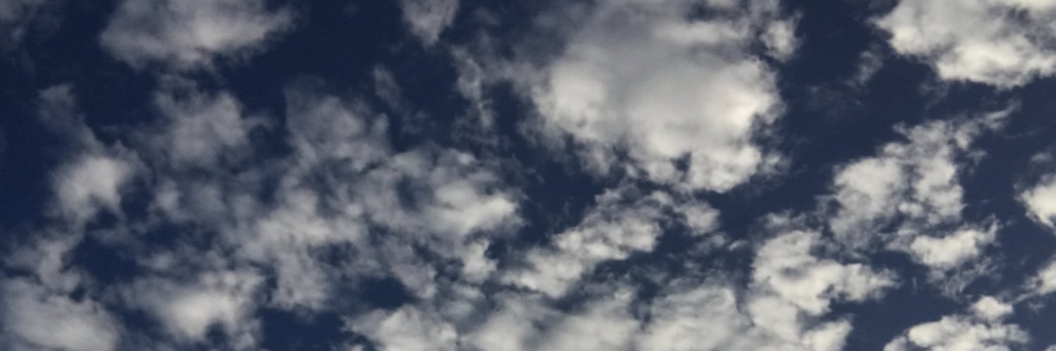 schrimss's profile banner image