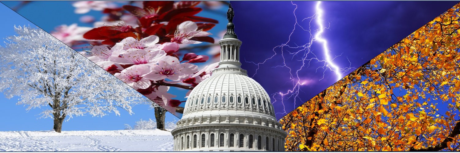 🇺🇸DC🌸Storms banner