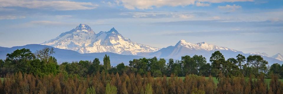 FrancoNedved's profile banner image