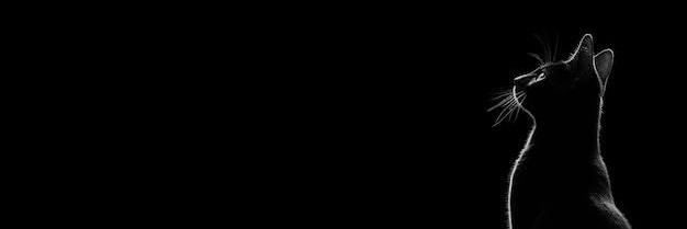 BlackRi banner
