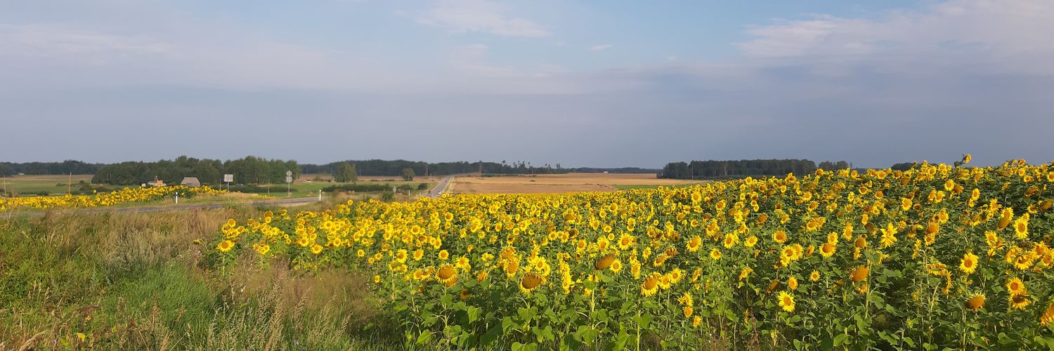 lu_chk0's profile banner image