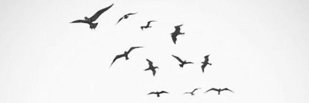 _asw6's profile banner image