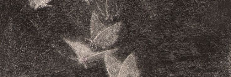 . banner