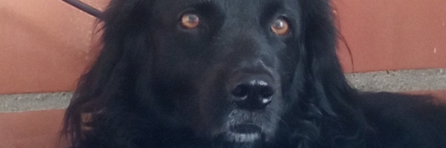 Aleida2020's profile banner image