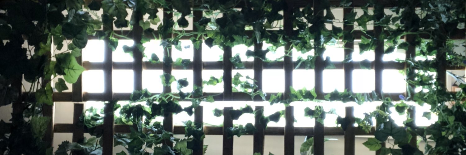 PierreRoelens's profile banner image