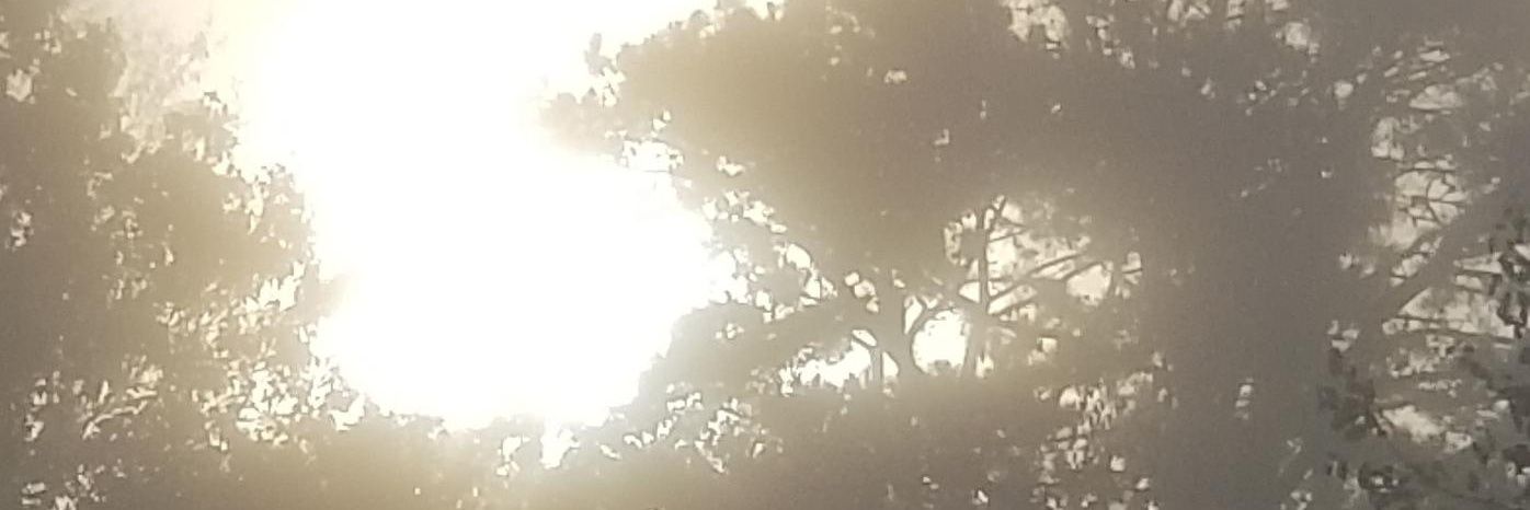 Christopher Ruiz banner