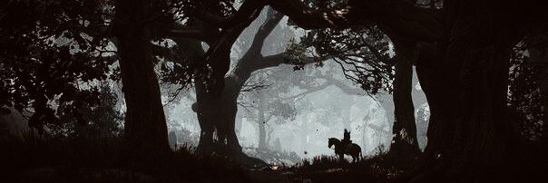 Tysiek🗡️ cp; The Witcher banner