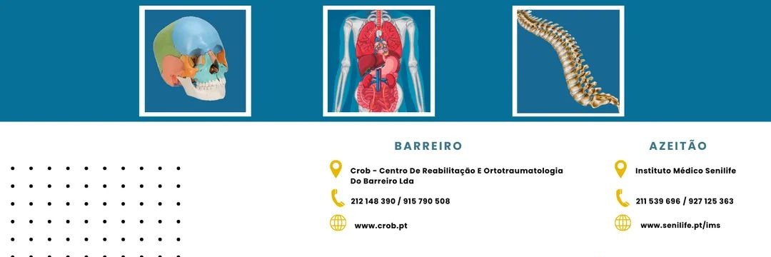André Ferreira Nicha banner