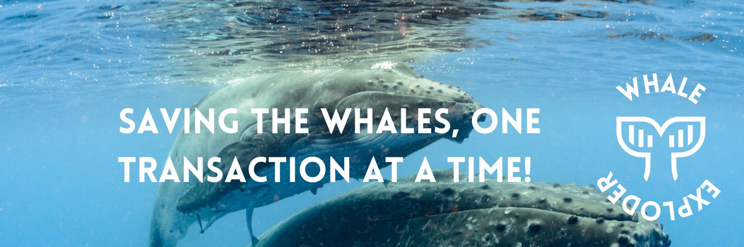 Whale Exploder 🐋💥 banner