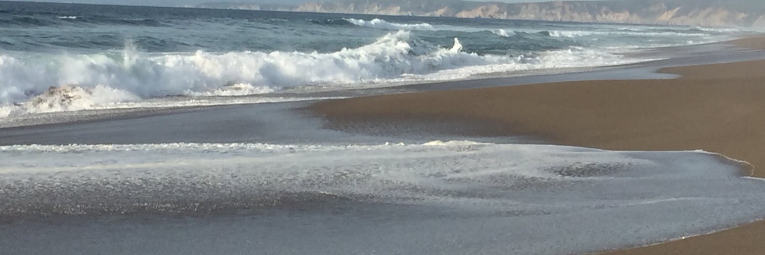 kellysandill's profile banner image