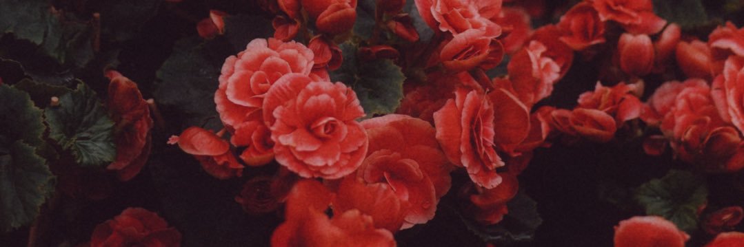 EllieMaeAuthor's profile banner image