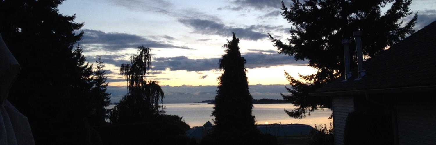 Nat_Carnegie's profile banner image