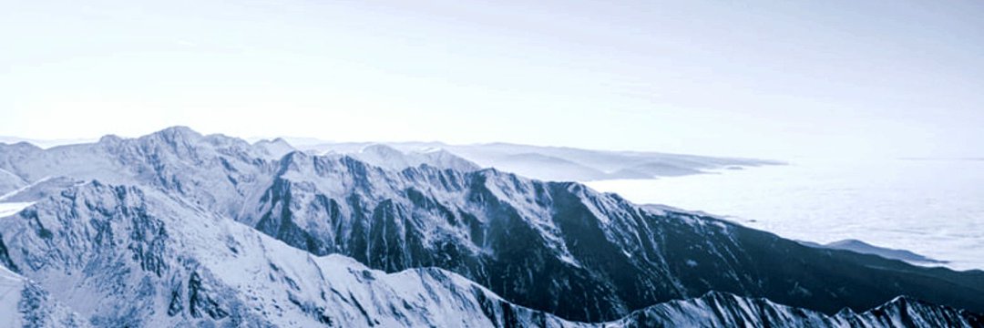 cropsbush's profile banner image