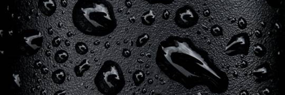 Chelsofia banner