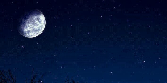 robertoplazar's profile banner image