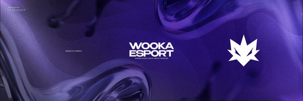 WookaEsport Profile Banner