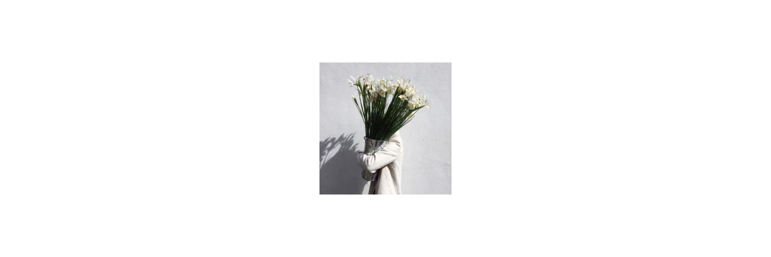 JN00MYF's profile banner image