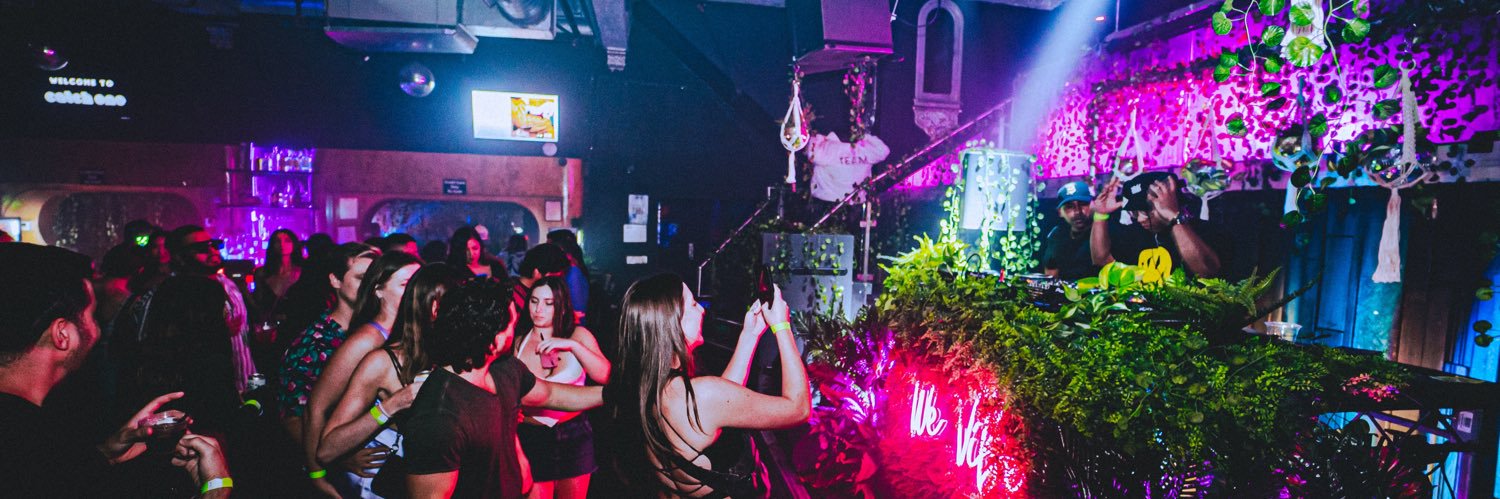 We Vibe Music 🪩🌴 banner