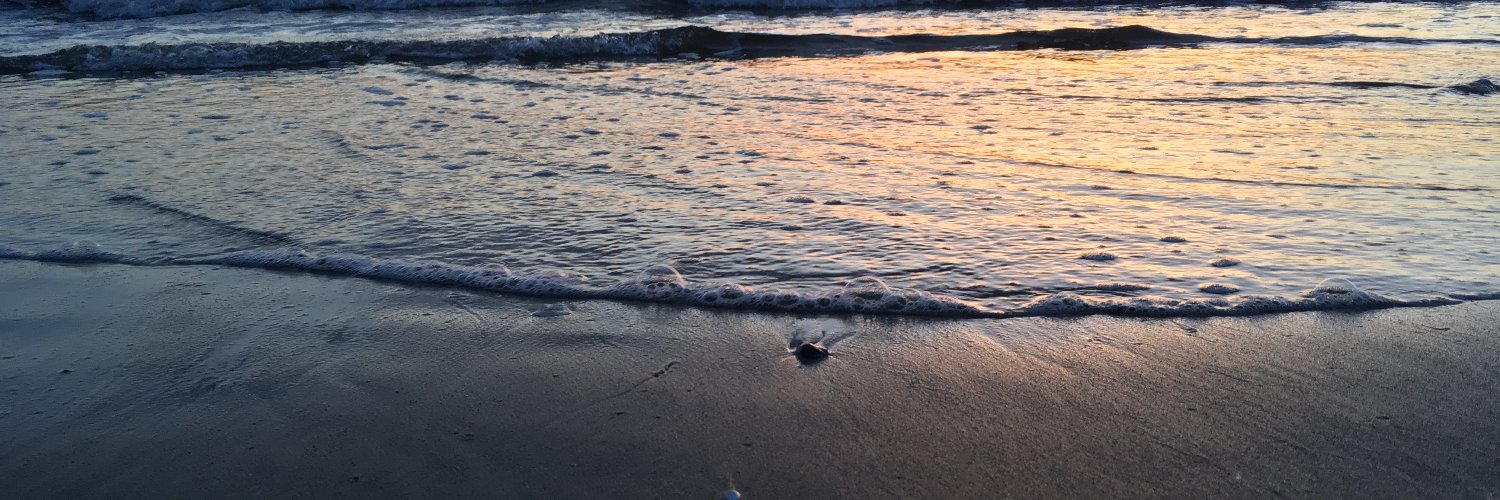 nuts_e's profile banner image