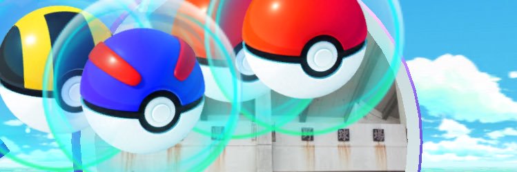 MPAPA banner